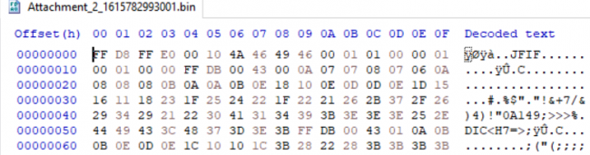 Slika 1.1 Sadržaj binarne datoteke (.jpeg) iz sigurnosne kopije, otvoren u programu HexEditor [preuzeto s [2]] 