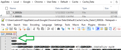 Slika 8 (//Cache// datoteke - ručna forenzička identifikacija //PNG// slike)